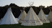 DSCF6747